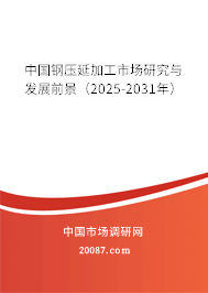 中國鋼壓延加工市場研究與發展前景預測（2025-2031年）